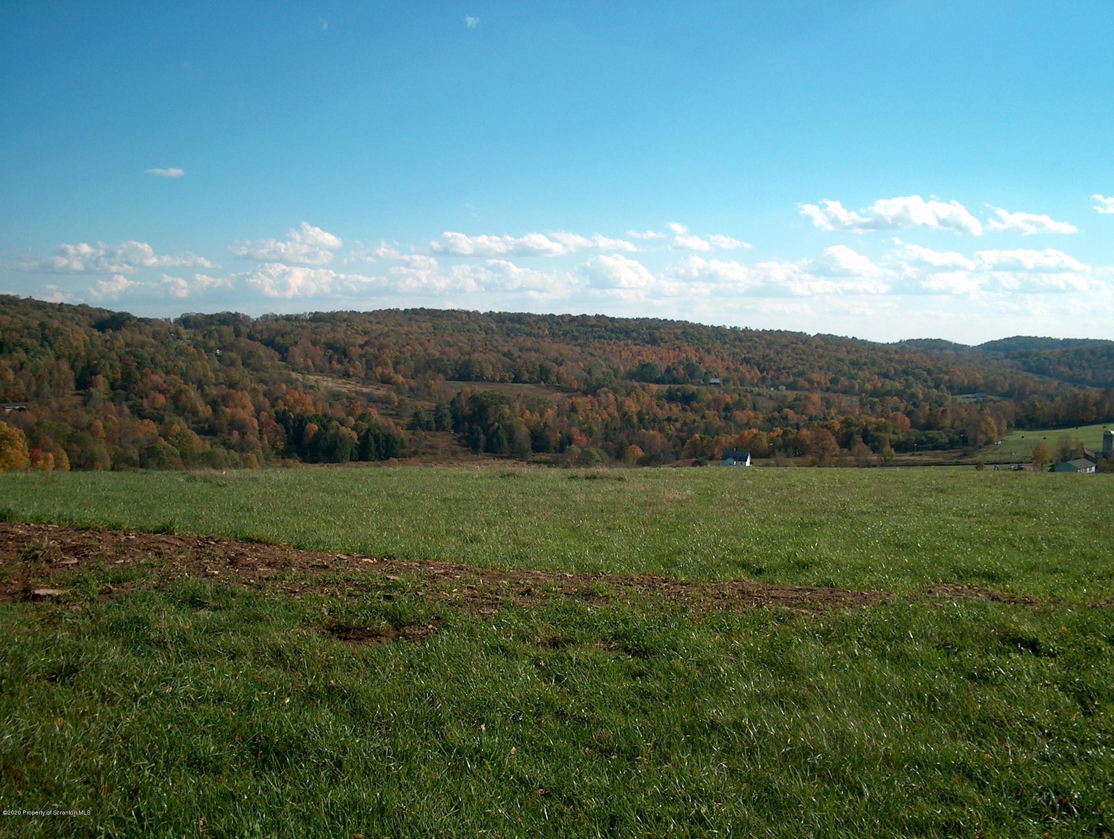 402 Bare Valley Road Montrose, PA 18801 - Photo 1 of 4 Dim#1