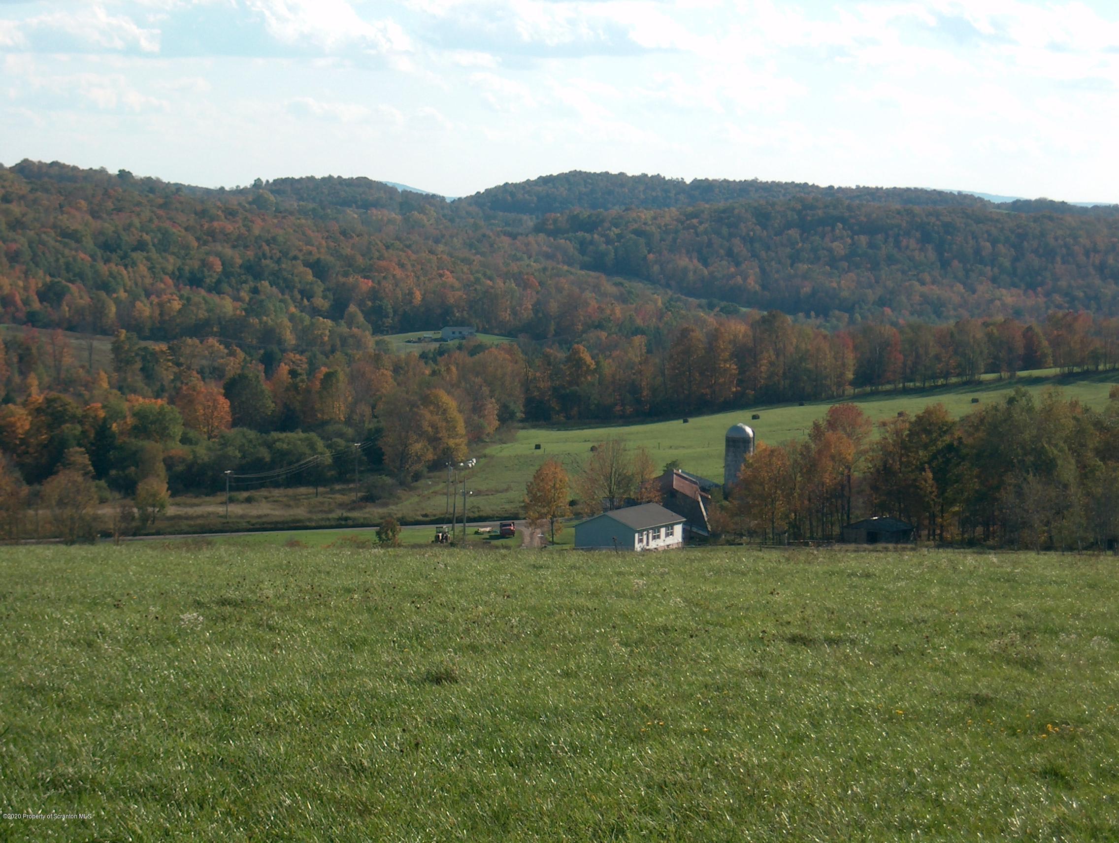 402 Bare Valley Road Montrose, PA 18801 - Photo 2 of 4 Dim#2