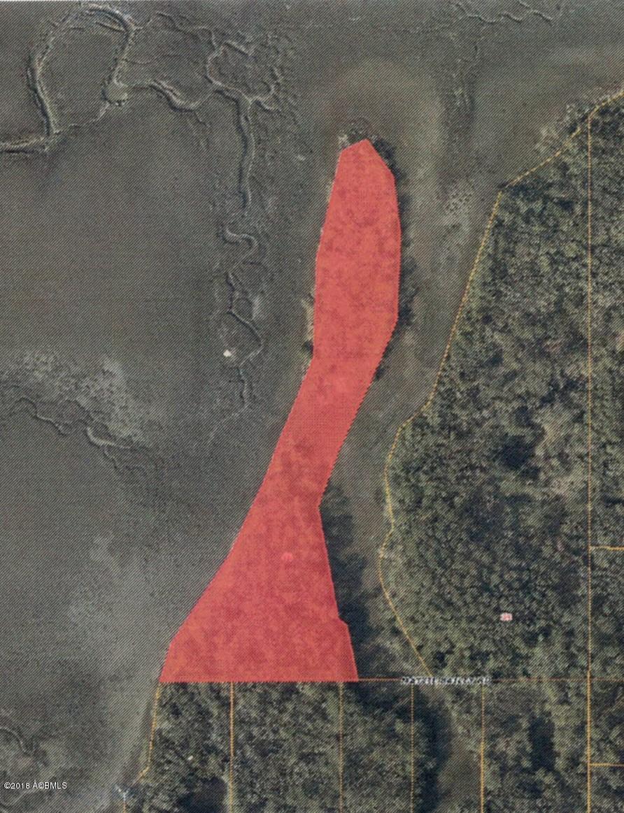 Tbd1 Mattie Bailey Road St. Helena Island, SC 29920 - Photo 1 of 10 TBD Mattie Bailey Rd GIS02282018 (2)