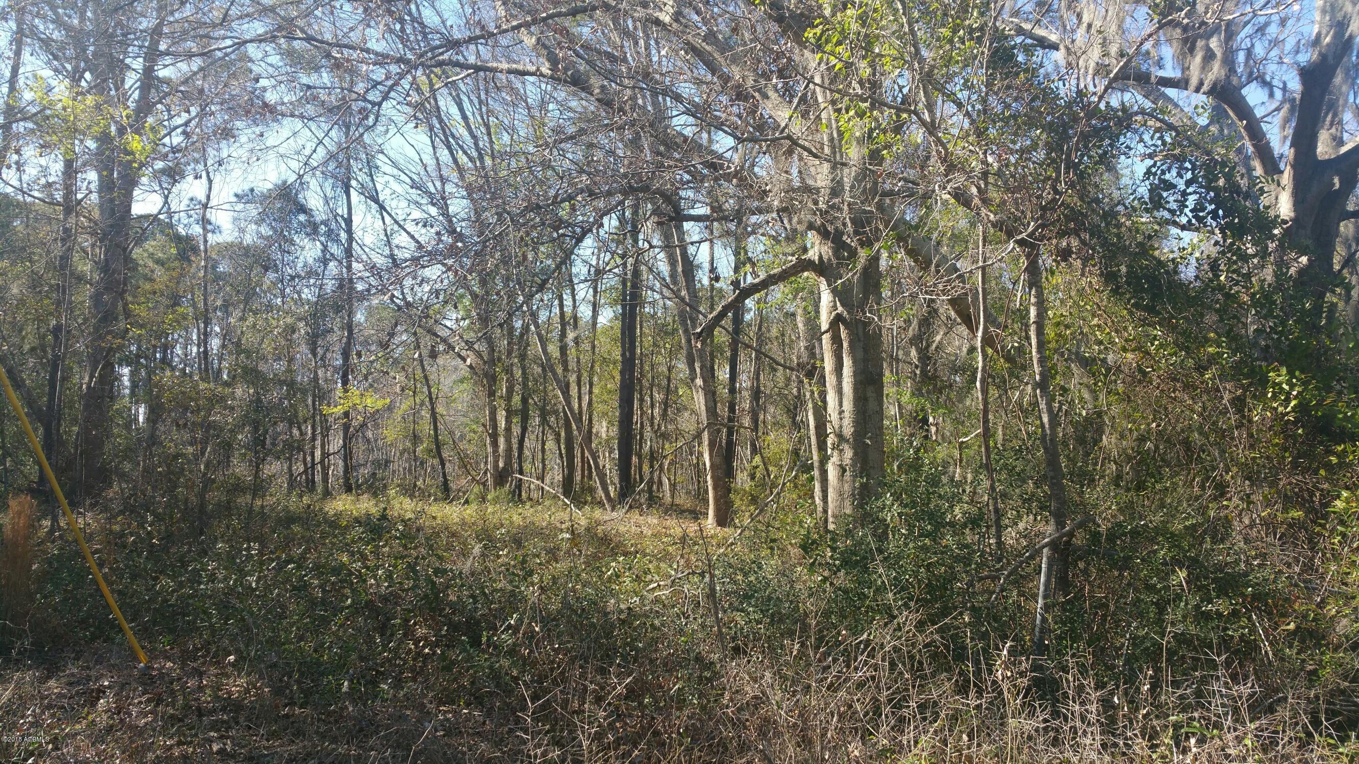 Tbd1 Mattie Bailey Road St. Helena Island, SC 29920 - Photo 2 of 10 20180304_151741_001_1522005013108_resize