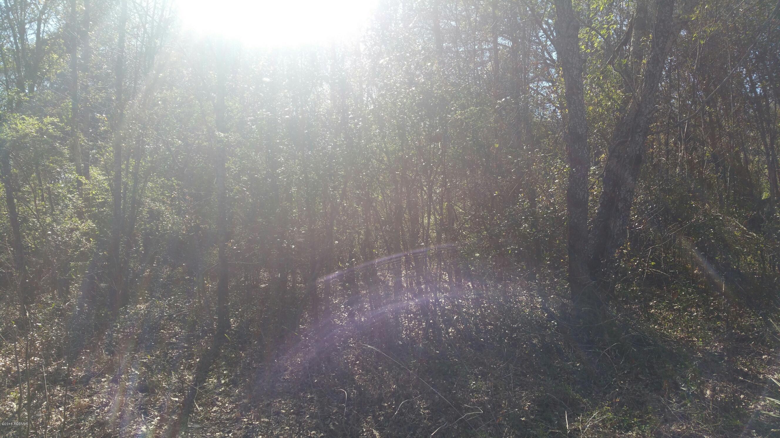 Tbd1 Mattie Bailey Road St. Helena Island, SC 29920 - Photo 3 of 10 20180304_151641_001_1522005017128_resize