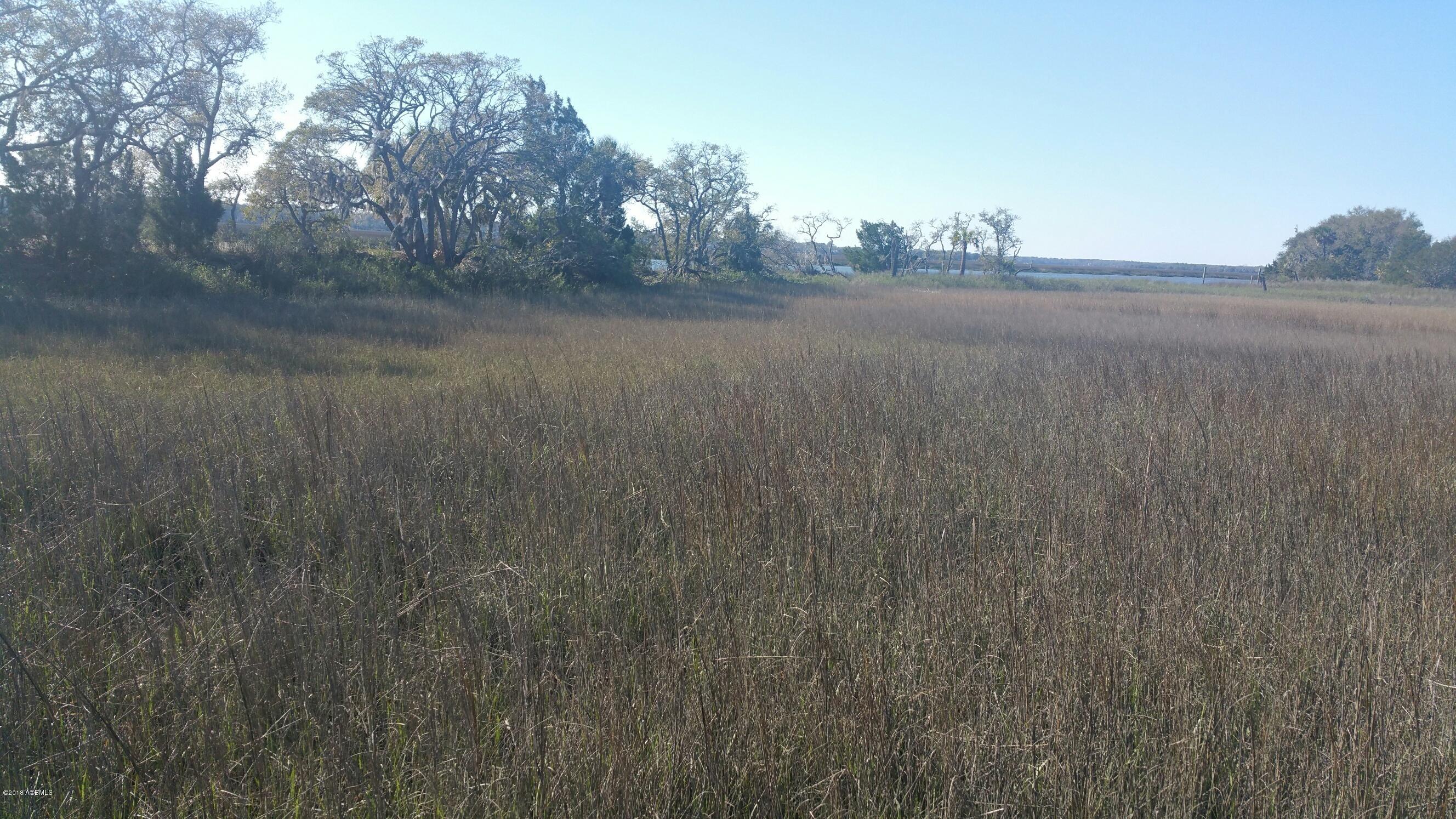 Tbd1 Mattie Bailey Road St. Helena Island, SC 29920 - Photo 4 of 10 20180304_152116_1522005009432_resized