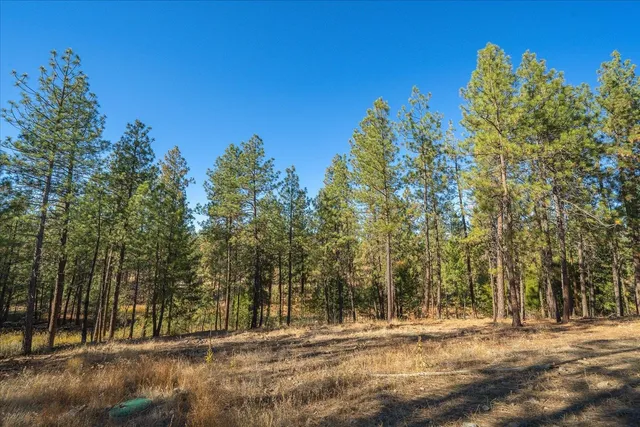 $678,000 | 38255 Rocky Ridge Lane North, Davenport, WA 99122