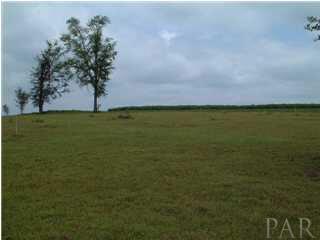5600 State Road Walnut Hill, FL 32568 - Photo 1 of 3 Gallery Image 1