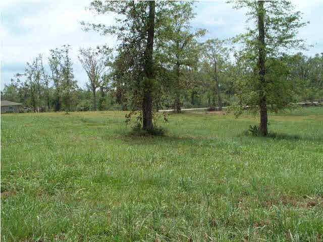 5600 State Road Walnut Hill, FL 32568 - Photo 3 of 3 Building site