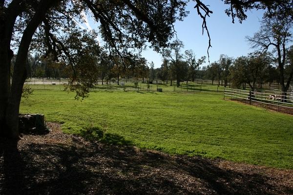 24433 Dersch Road Anderson, CA 96007 - Photo 24 of 30 Property