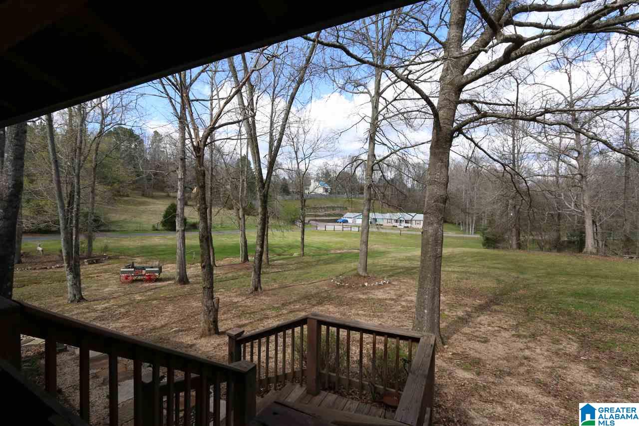 67 Hill Top Road Springville, AL 35146 - Photo 3 of 39