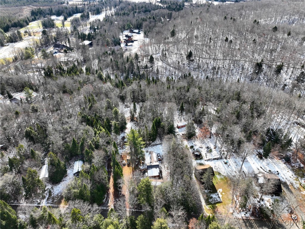 16 Deerwood Dr Inlet Inlet, NY 13360 - Photo 5 of 31