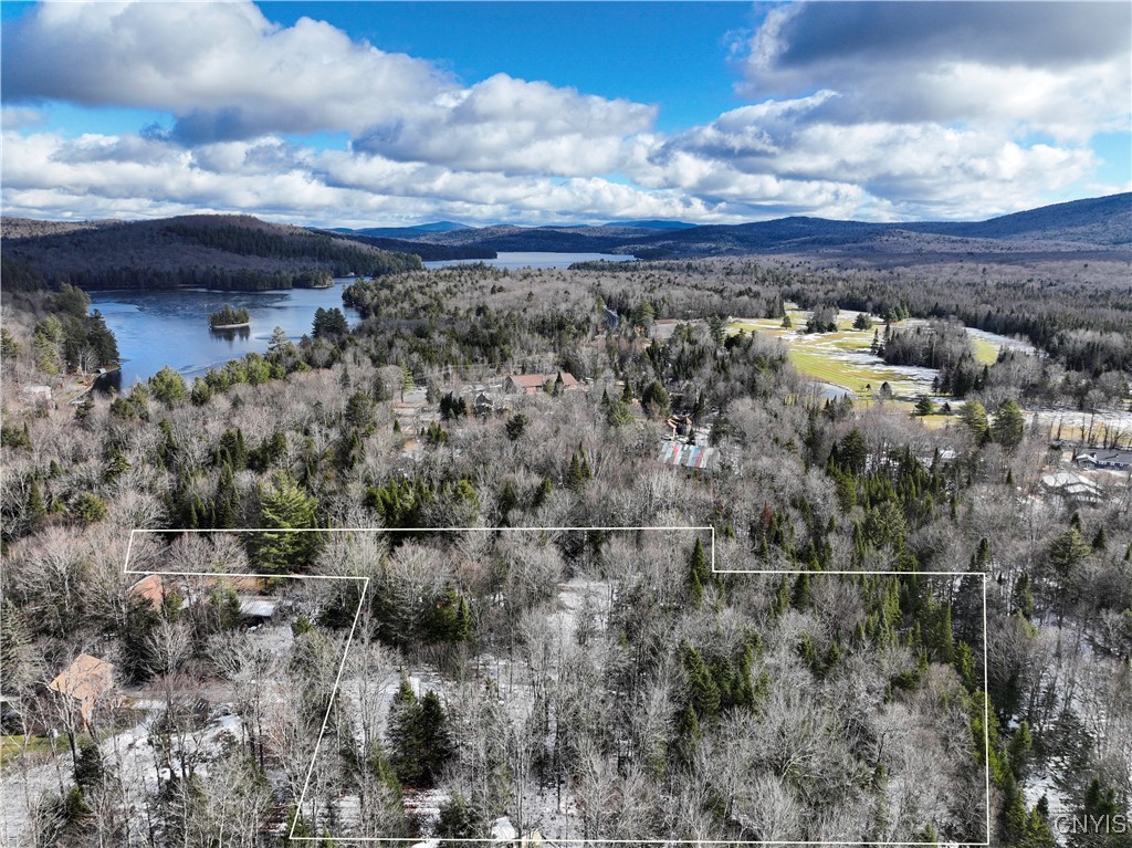 16 Deerwood Dr Inlet Inlet, NY 13360 - Photo 6 of 31
