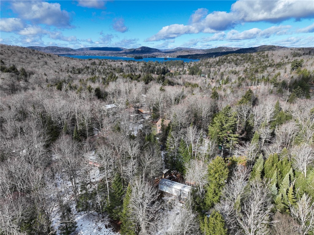 16 Deerwood Dr Inlet Inlet, NY 13360 - Photo 8 of 31