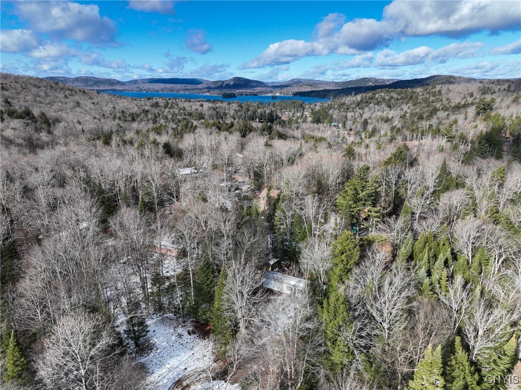 16 Deerwood Dr Inlet Inlet, NY 13360 - Photo 10 of 31