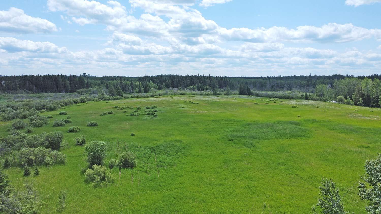 Lot B Olson Road Cook, MN 55723 - Photo 1 of 1