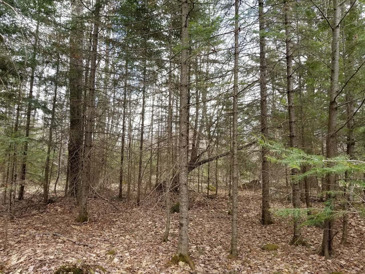 Lot 6 John Dul Road Mercer, WI 54547 - Photo 11 of 27 Gallery Image 11