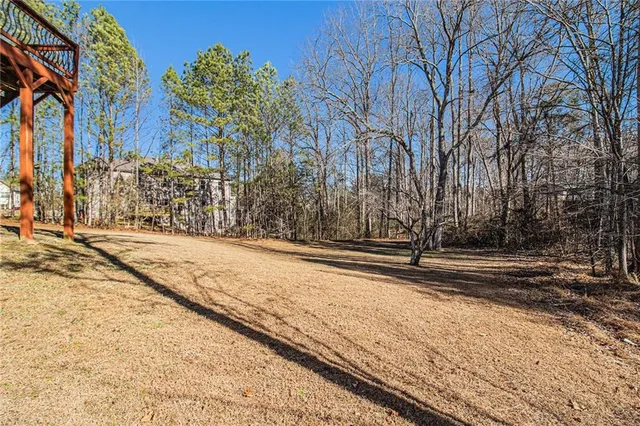a close up of a plant in a garden