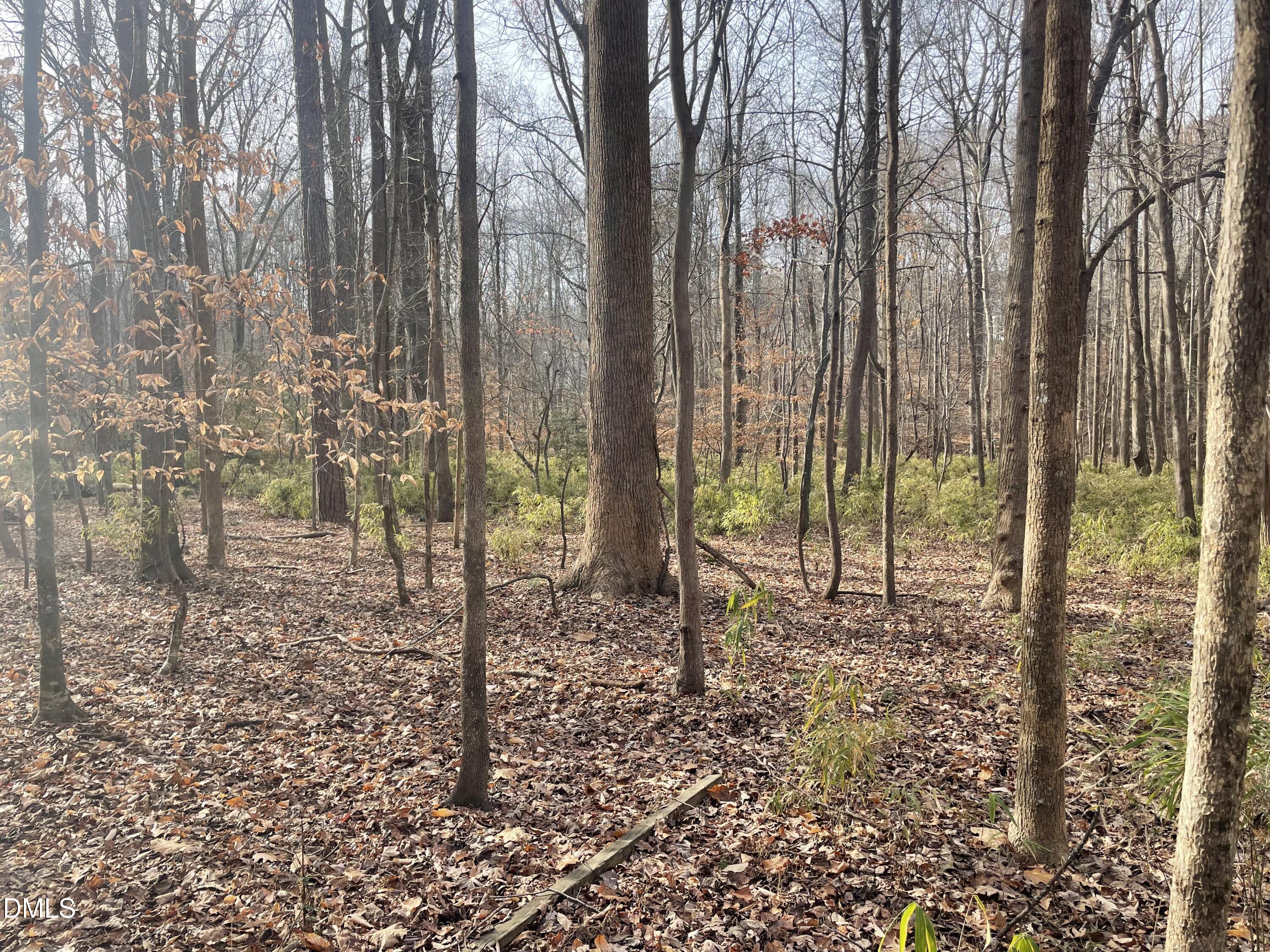 600 Hawick Road Raleigh, NC 27615 - Photo 11 of 15 a view of a backyard