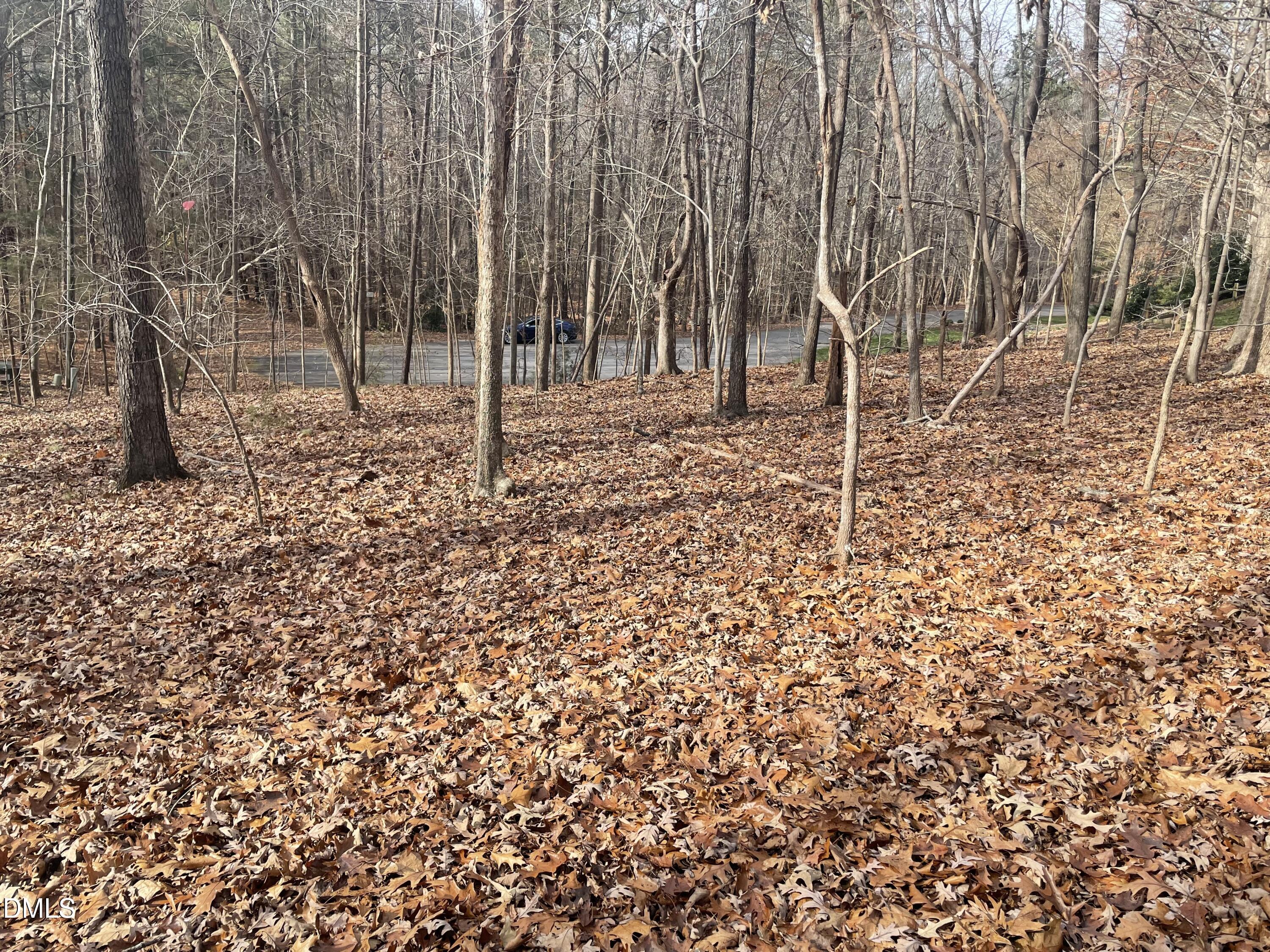 600 Hawick Road Raleigh, NC 27615 - Photo 12 of 15 a backyard of a house with lots of green space