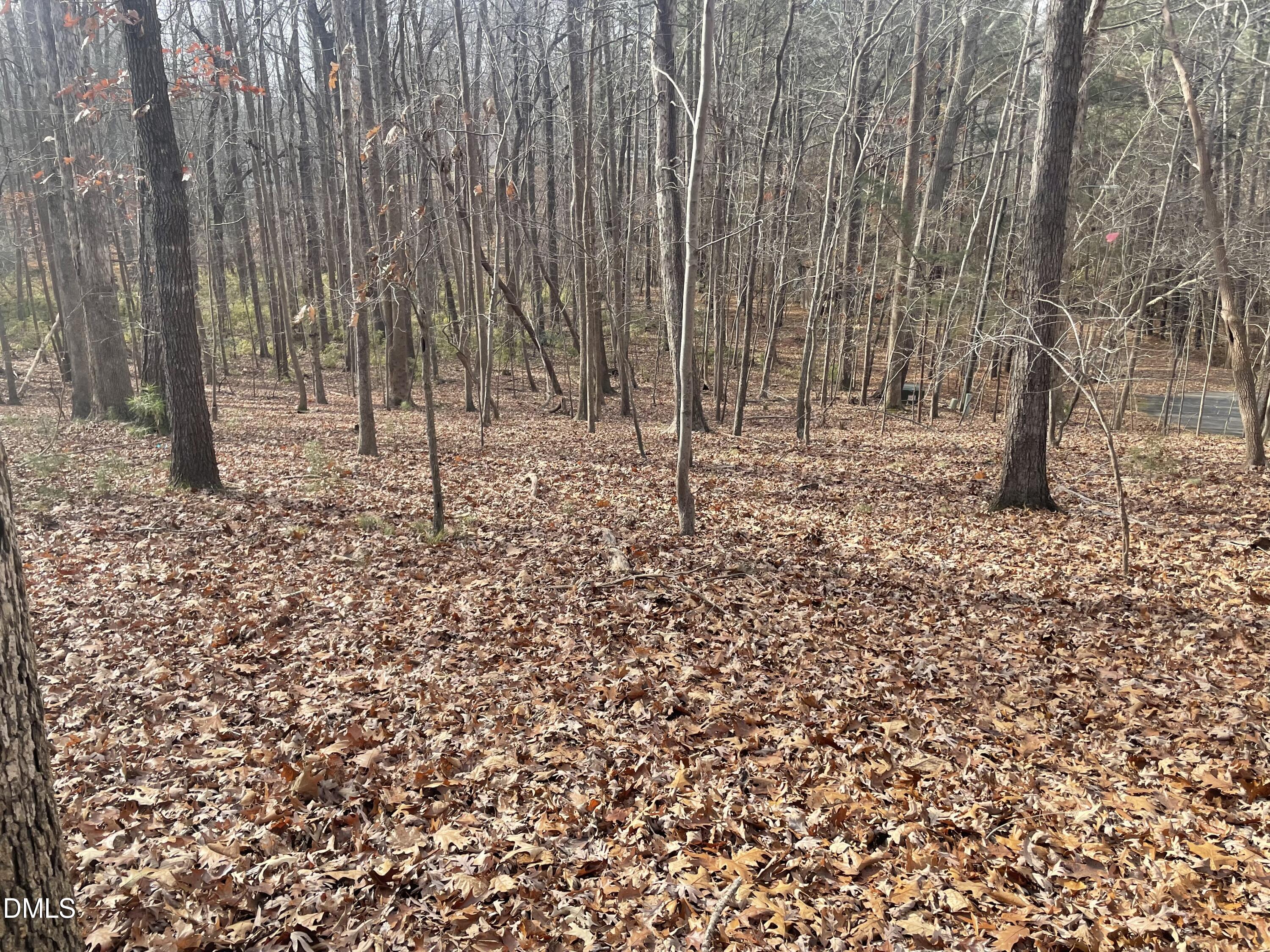 600 Hawick Road Raleigh, NC 27615 - Photo 13 of 15 a view of a yard with trees