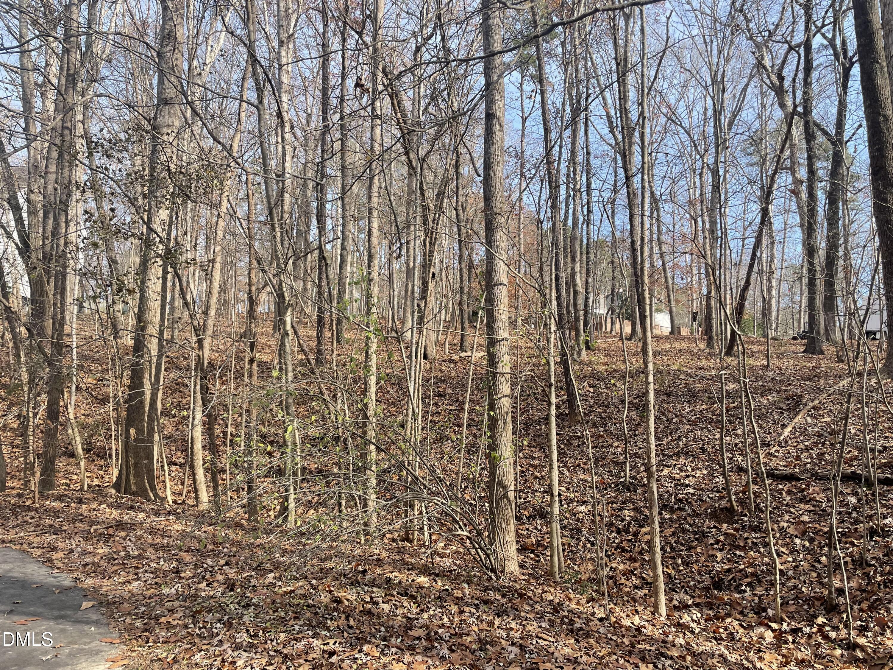 600 Hawick Road Raleigh, NC 27615 - Photo 3 of 15 a view of a backyard