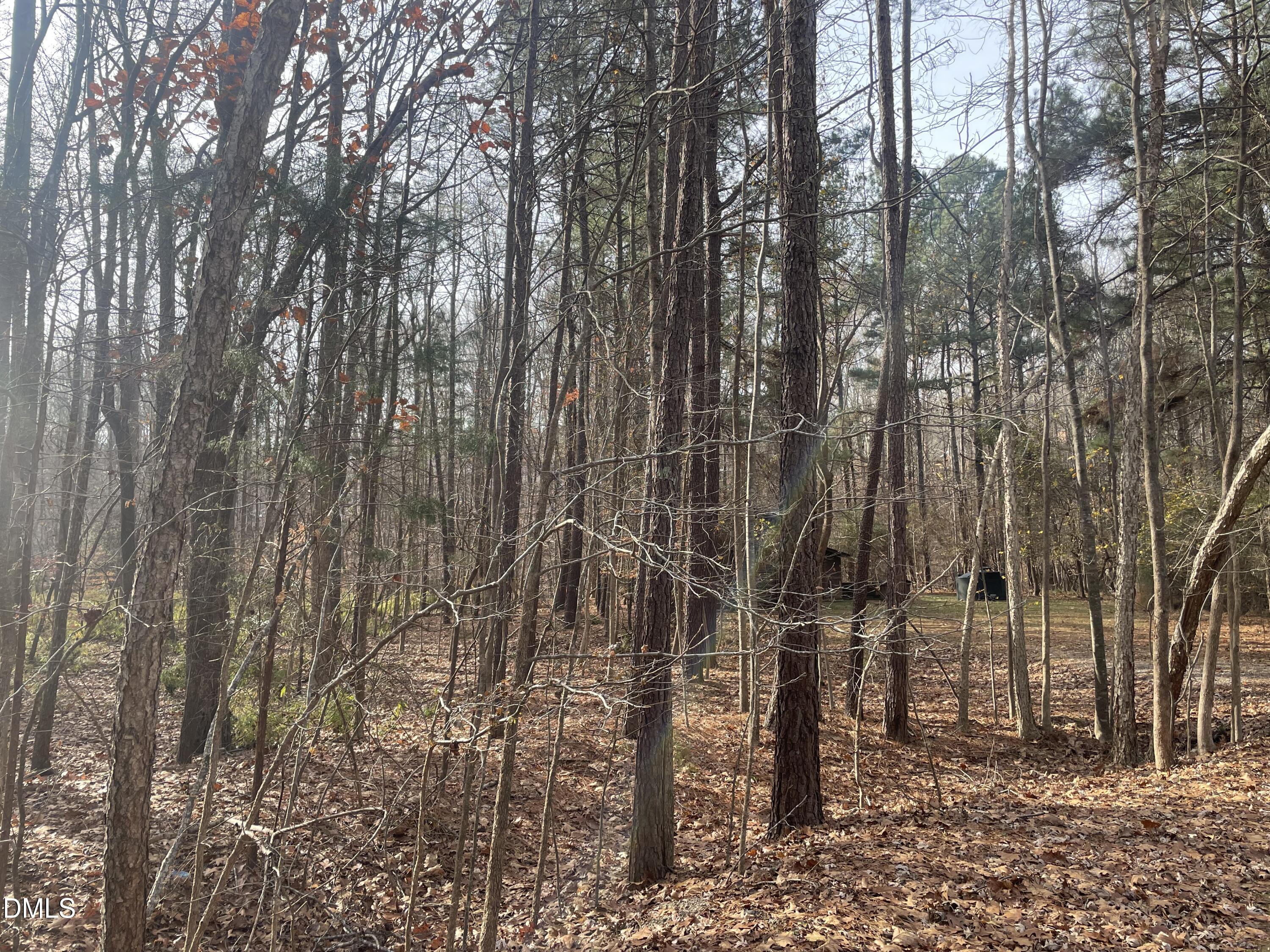 600 Hawick Road Raleigh, NC 27615 - Photo 4 of 15 a view of a backyard of a house