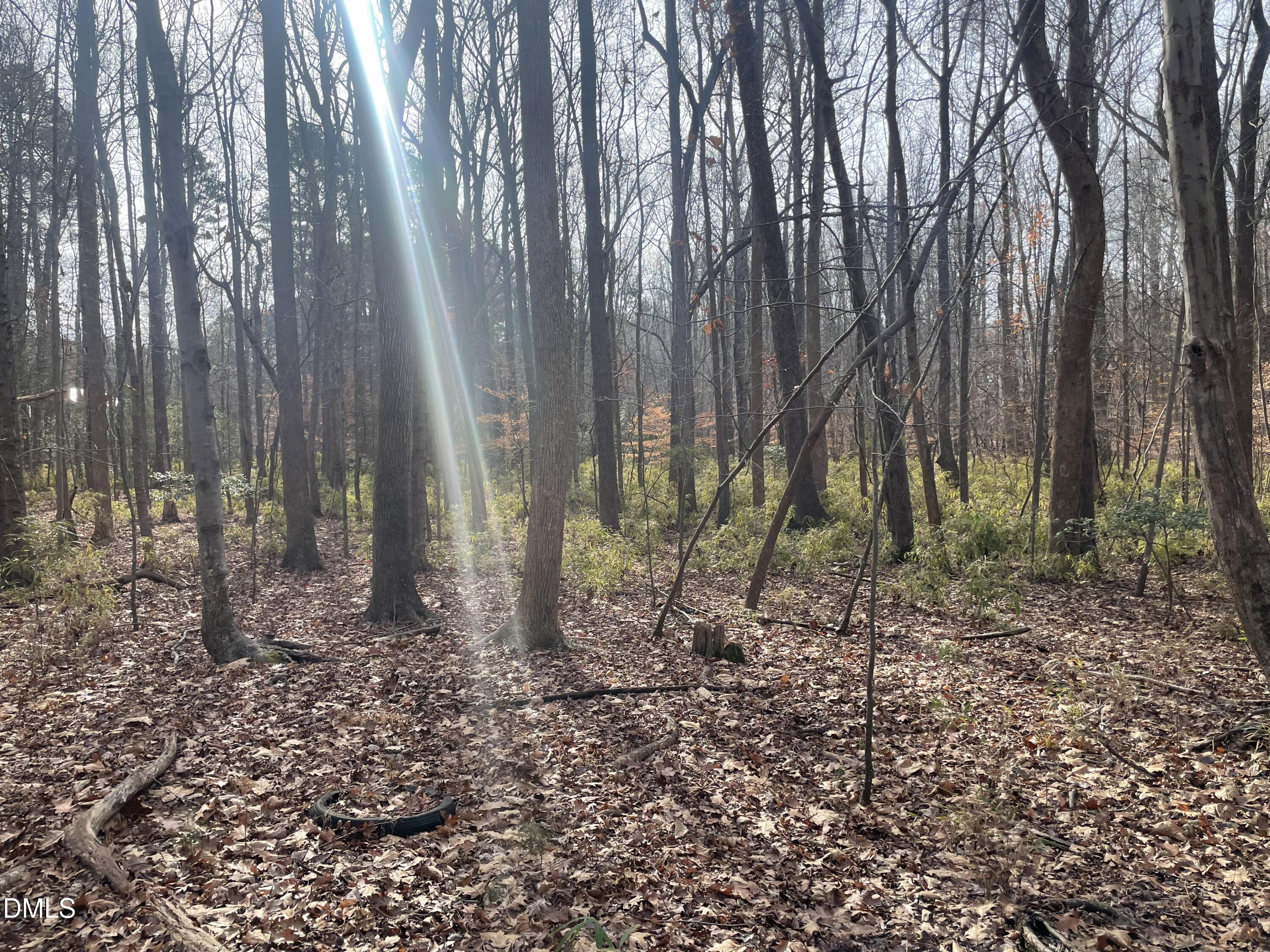 600 Hawick Road Raleigh, NC 27615 - Photo 7 of 15 a view of a backyard