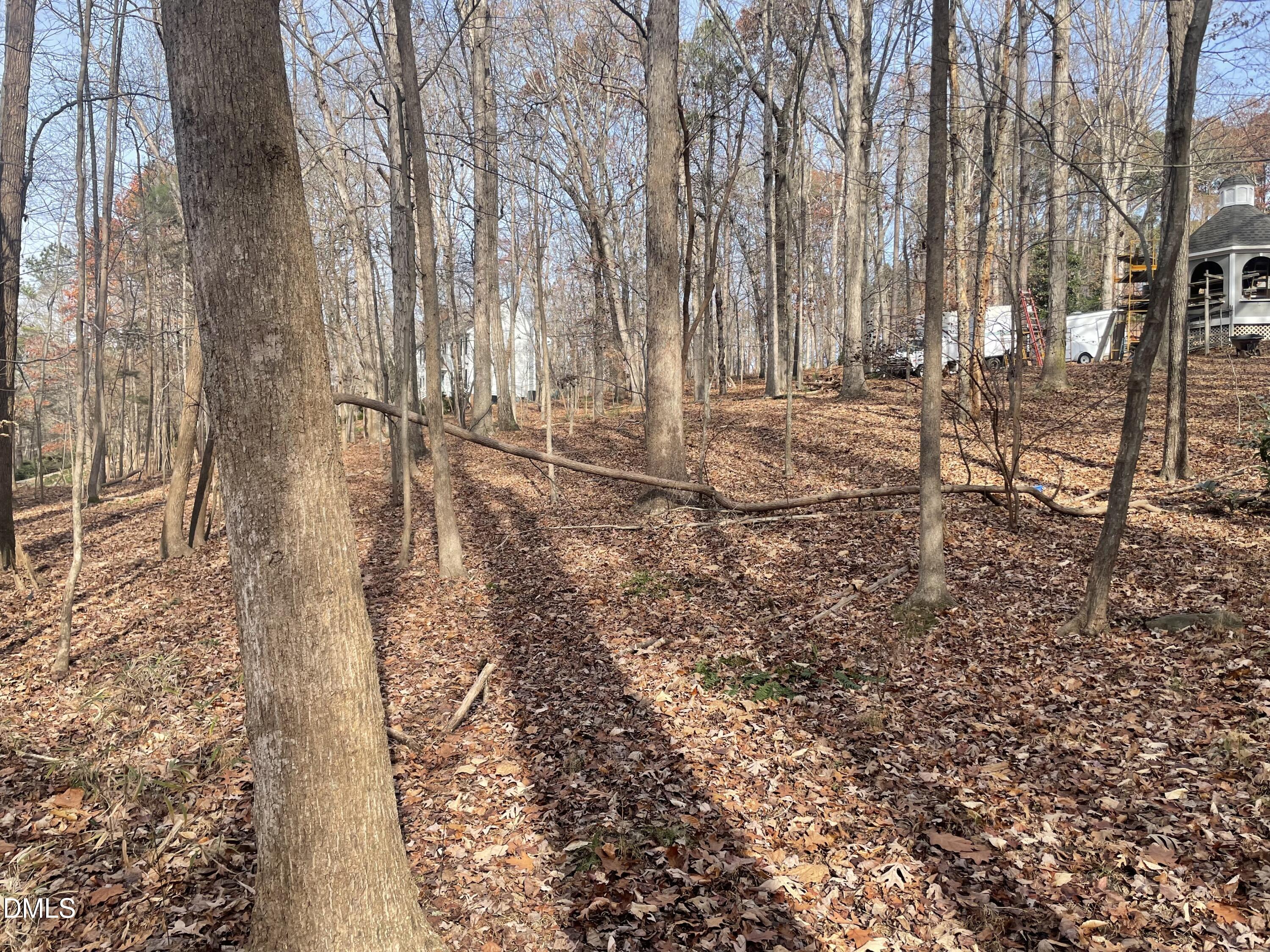 600 Hawick Road Raleigh, NC 27615 - Photo 9 of 15 a backyard of a house with lots of green space