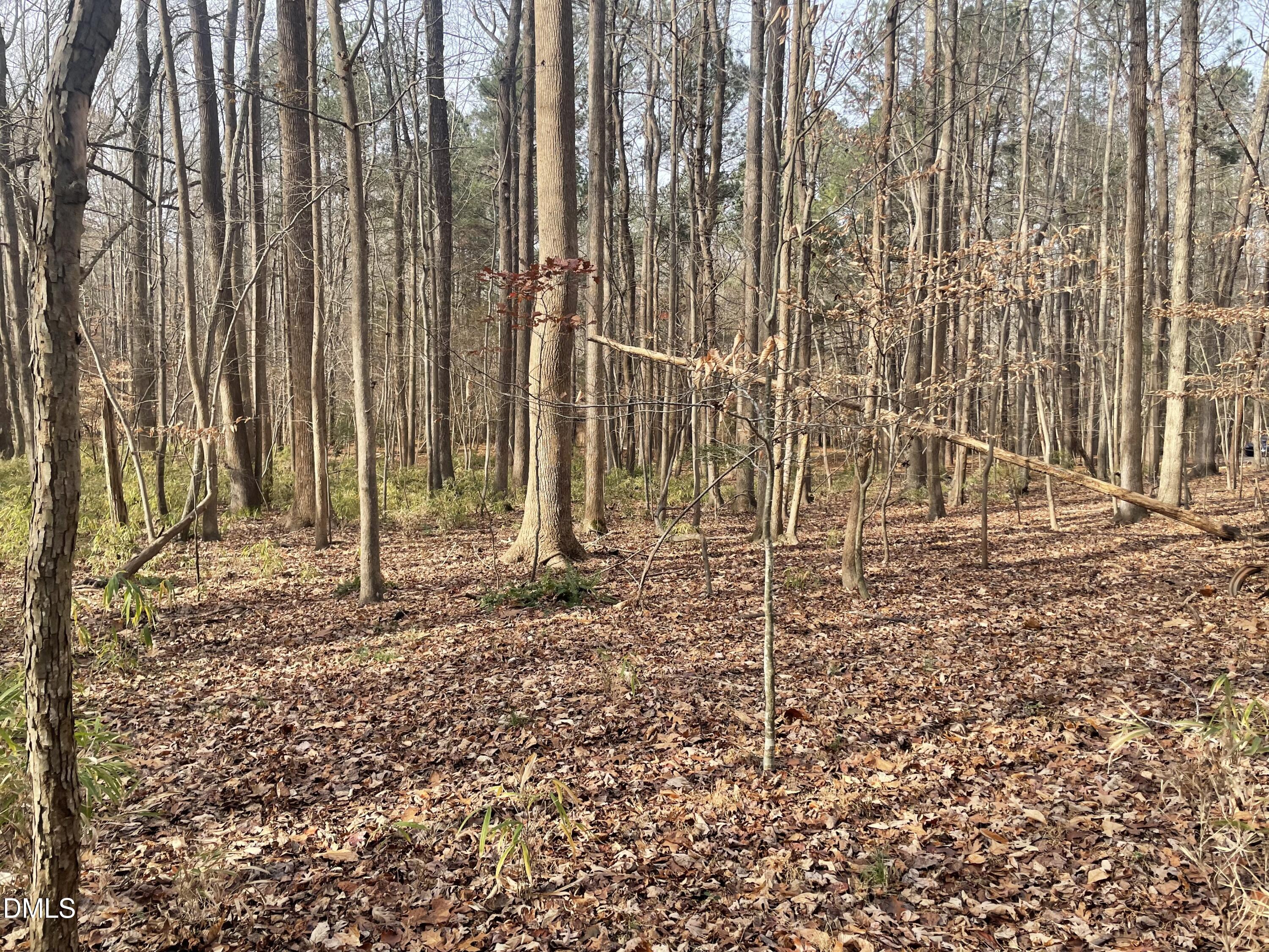 600 Hawick Road Raleigh, NC 27615 - Photo 10 of 15 a backyard of a house with lots of green space