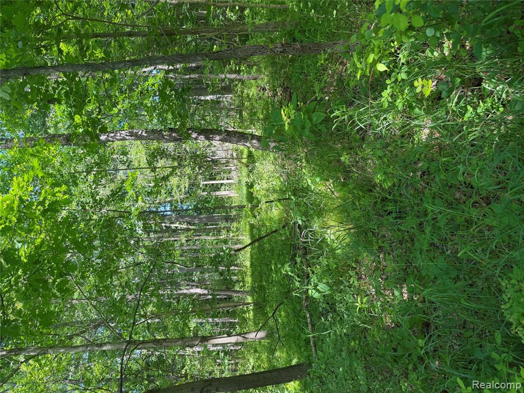 0 Deer Ridge Trail Holly, MI 48442 - Photo 11 of 14