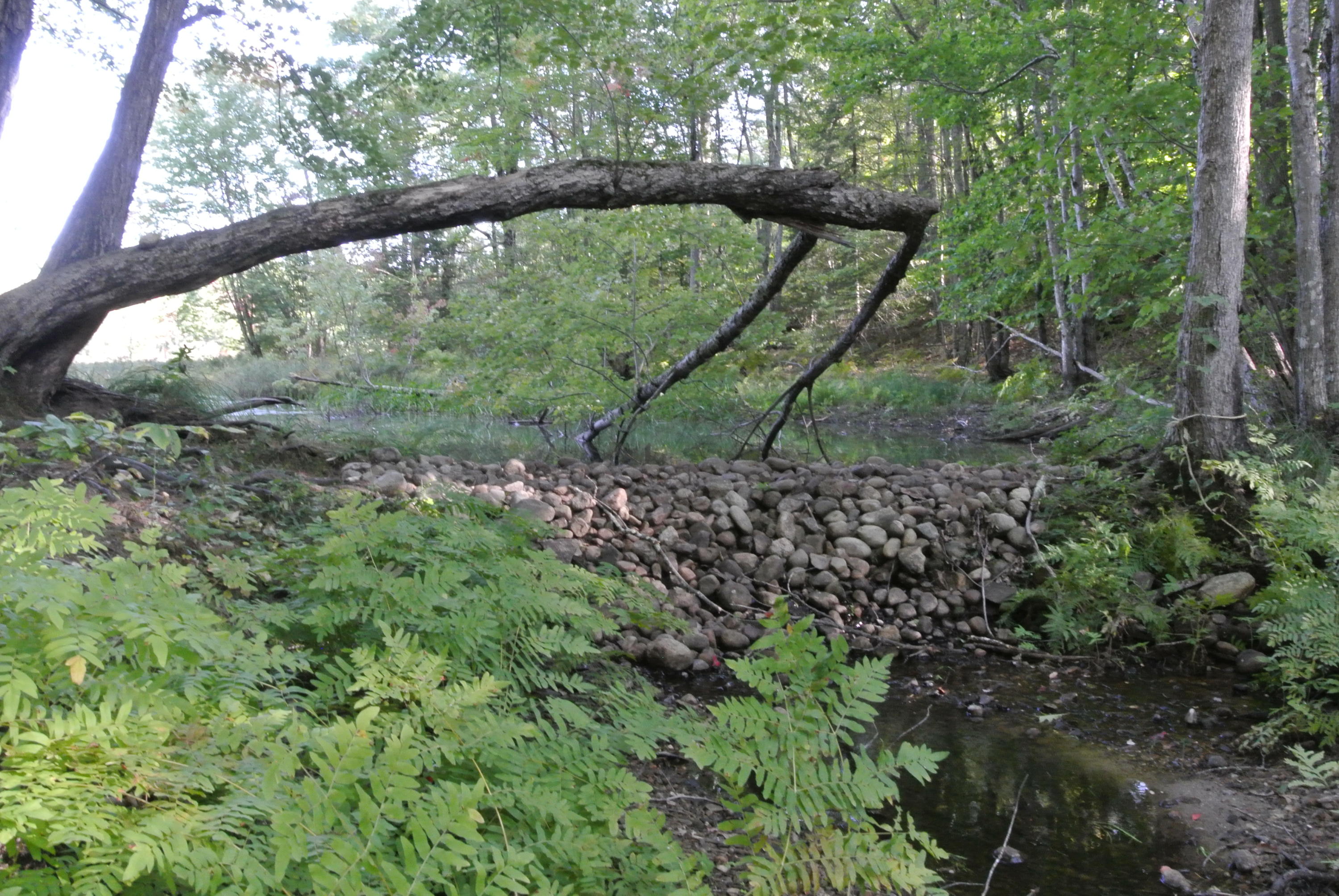 29 River Ridge Road Waterboro, ME 04061 - Photo 21 of 22 7022D8B4-6D63-4718-911A-A840685AFBE6