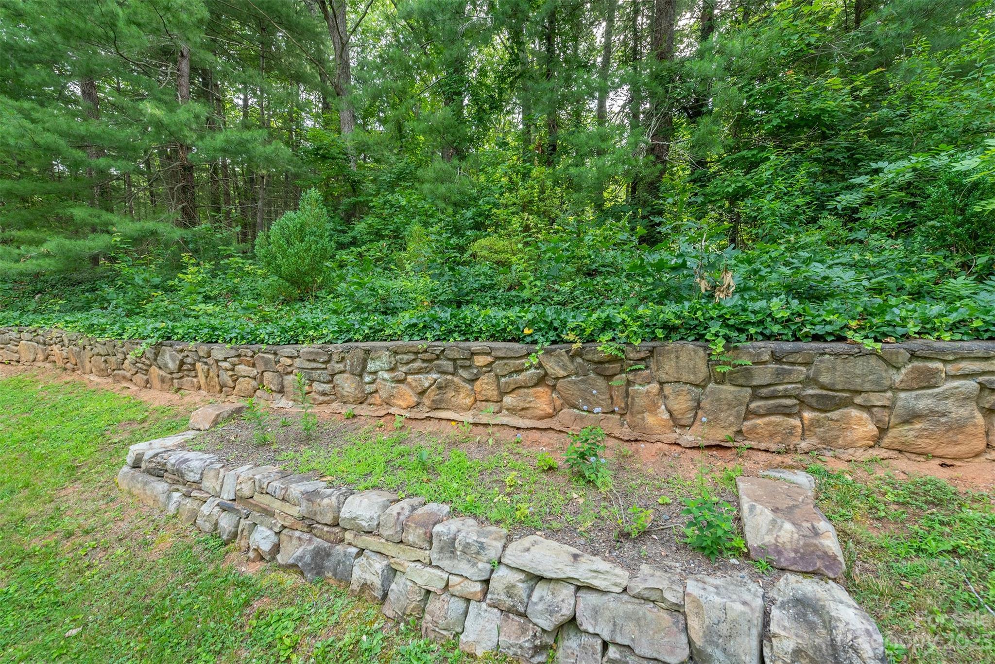 92 Alpine Way Asheville, NC 28805 - Photo 16 of 22 a garden with lots of trees