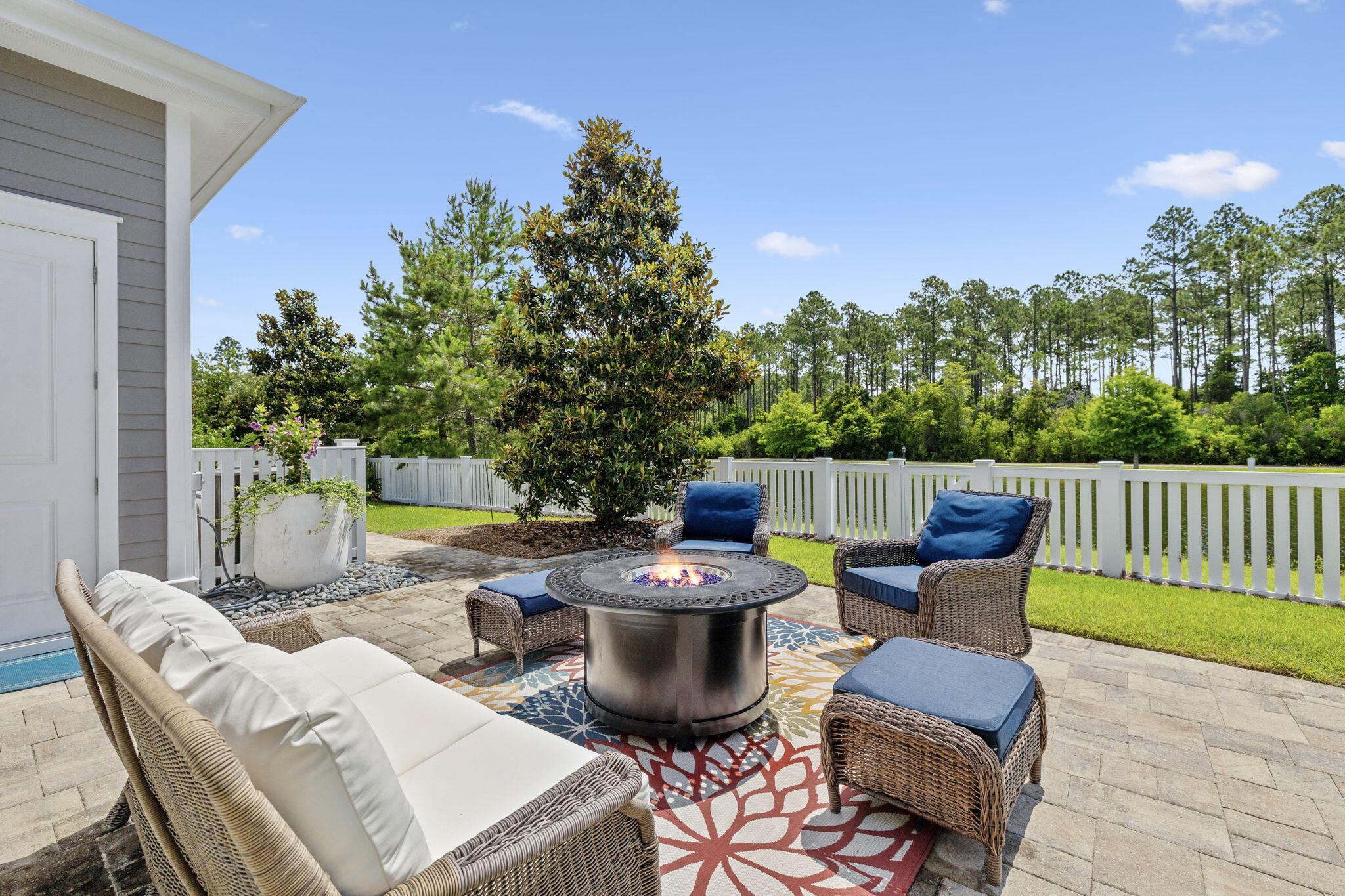 229 Sandchase Circle Inlet Beach, FL 32461 - Photo 16 of 107 Exterior - Backyard