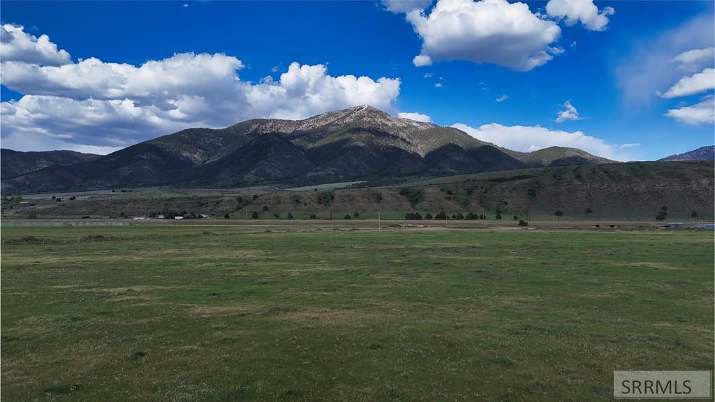 10-acres Old Irwin Road Irwin, ID 83428 - Photo 19 of 23