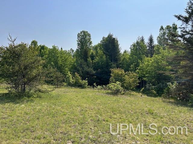 13408 West Jackola ( Road Atlantic Mine, MI 49905 - Photo 12 of 21