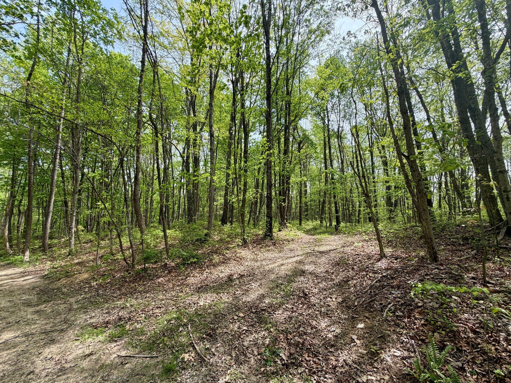 1271 A Tunnel Ridge Road Grayson, KY 41143 - Photo 114 of 134 Trail