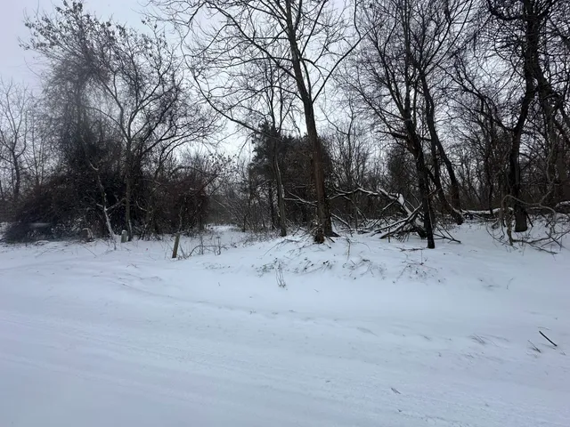 $75,000 | Vl Mt Zion Street, Cassopolis, MI 49031