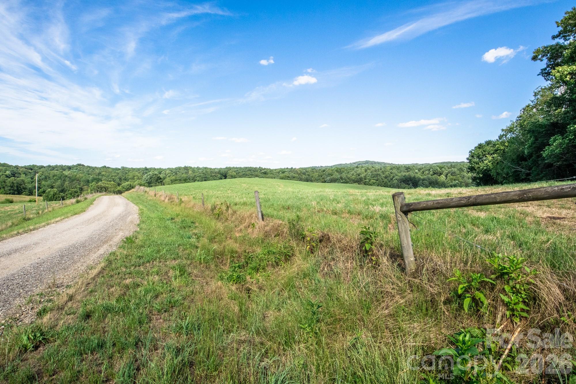 1779 Roundhill Church Road Traphill, NC 28685 - Photo 19 of 42