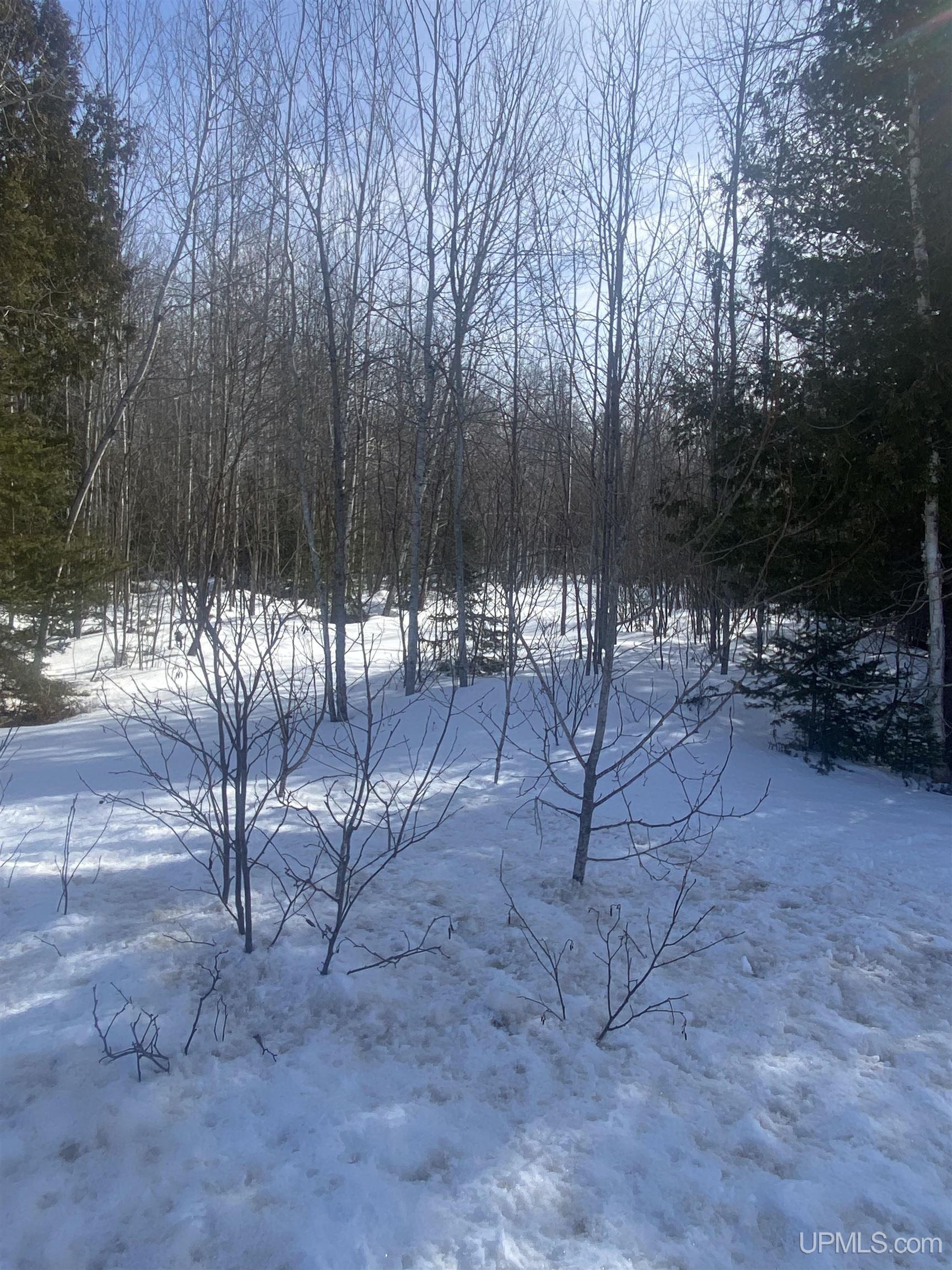 Tbd Winters Road Rapid River, MI 49878 - Photo 3 of 7