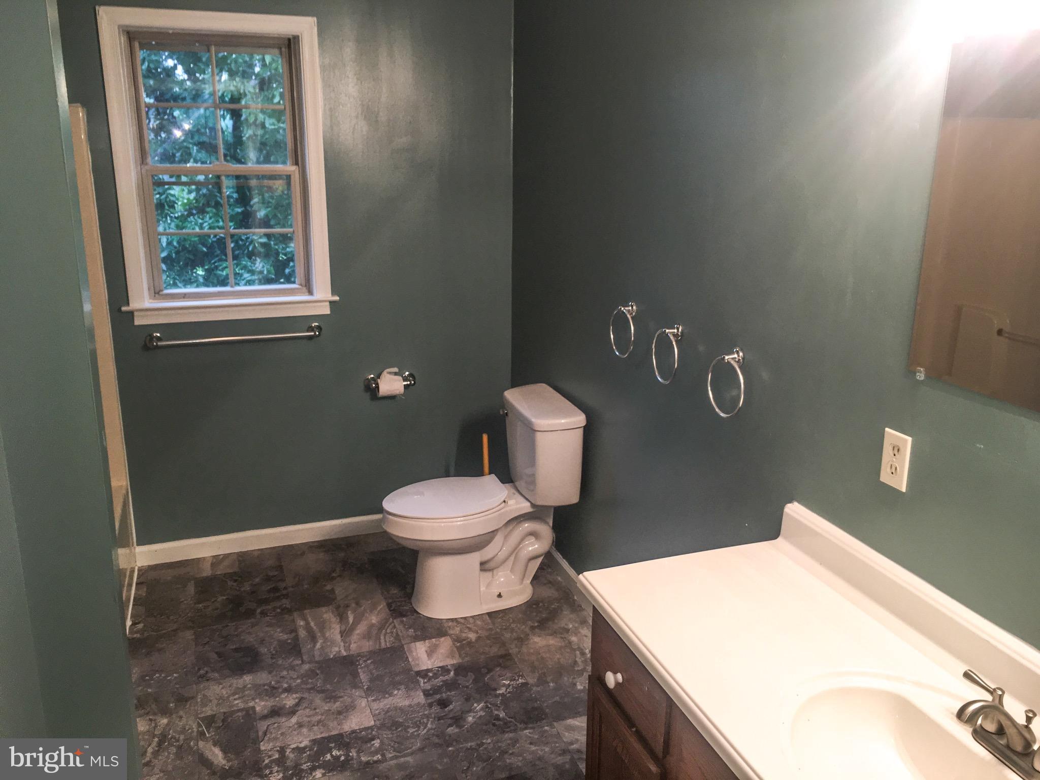 127 Holiday Road Cross Junction, VA 22625 - Photo 23 of 29 a bathroom with a sink a toilet and a window