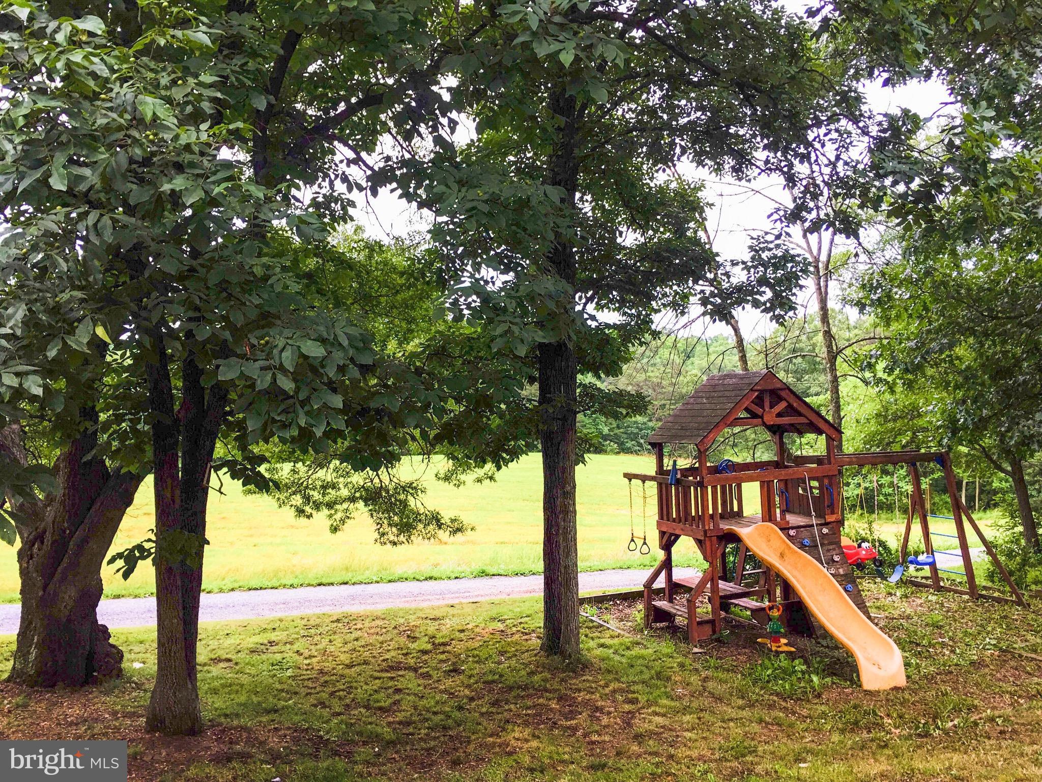 127 Holiday Road Cross Junction, VA 22625 - Photo 26 of 29 a view of a park with large trees