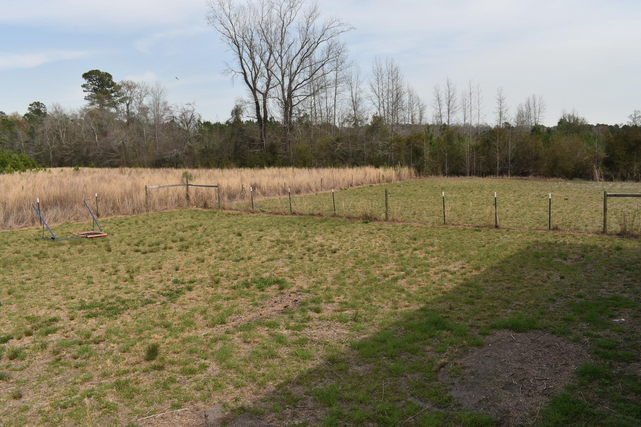 9968 Hardwick Road Nichols, SC 29581 - Photo 27 of 34