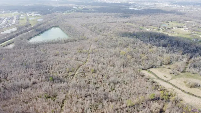 $778,822 | 0 Richard Waguespack Road, Gonzales, LA 70737