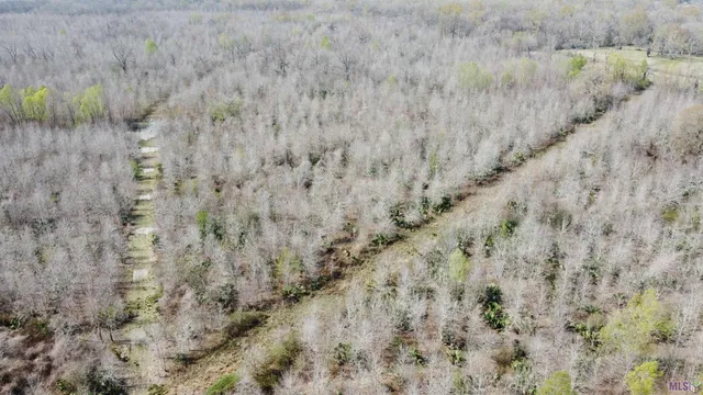 $778,822 | 0 Richard Waguespack Road, Gonzales, LA 70737