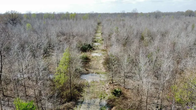 $778,822 | 0 Richard Waguespack Road, Gonzales, LA 70737