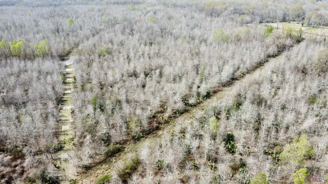 $778,822 | 0 Richard Waguespack Road, Gonzales, LA 70737