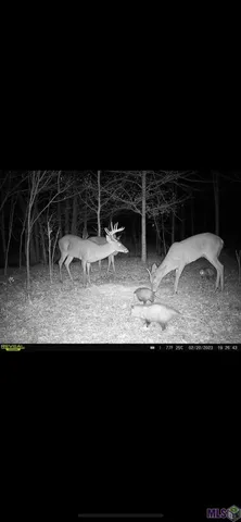 $778,822 | 0 Richard Waguespack Road, Gonzales, LA 70737