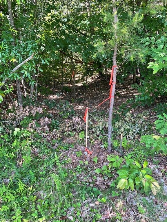 Parcel D Iron Works Road Reidsville, NC 27320 - Photo 5 of 6