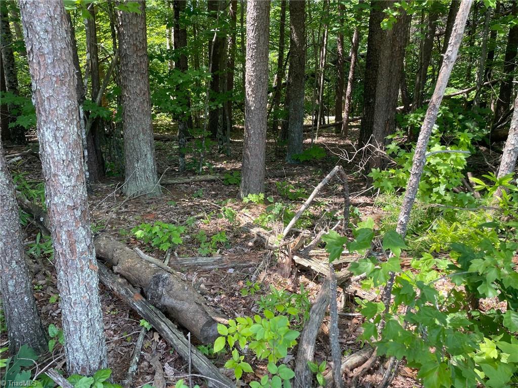 Parcel D Iron Works Road Reidsville, NC 27320 - Photo 6 of 6