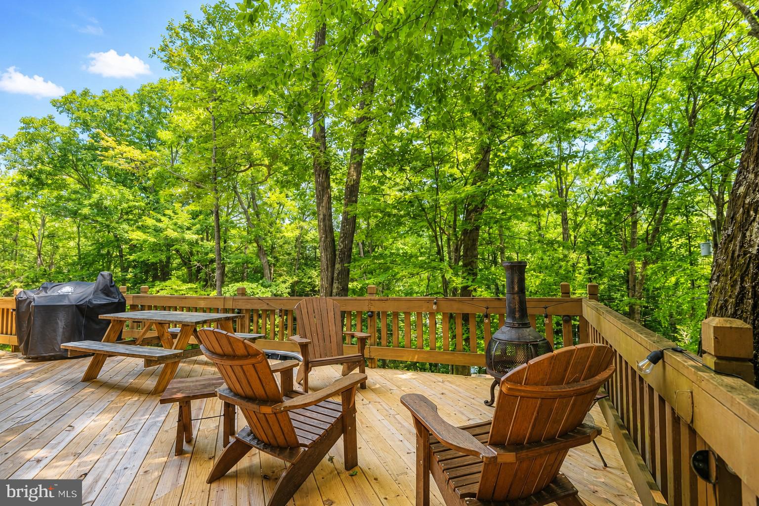 2153 Rock Lodge Road McHenry, MD 21541 - Photo 8 of 80 Serene deck nestled in lush greenery.