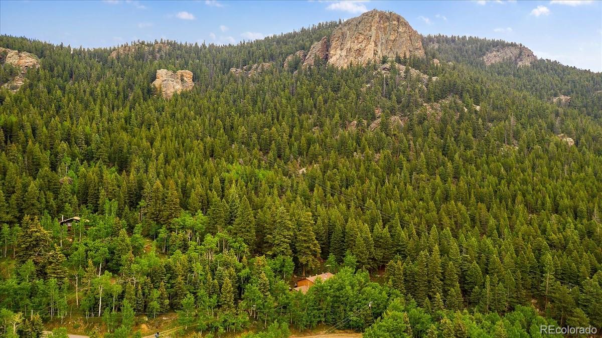 4300 Witter Gulch Road Evergreen, CO 80439 - Photo 36 of 40 Gallery Image 36