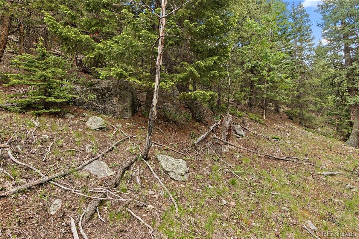 4300 Witter Gulch Road Evergreen, CO 80439 - Photo 40 of 40 Gallery Image 40