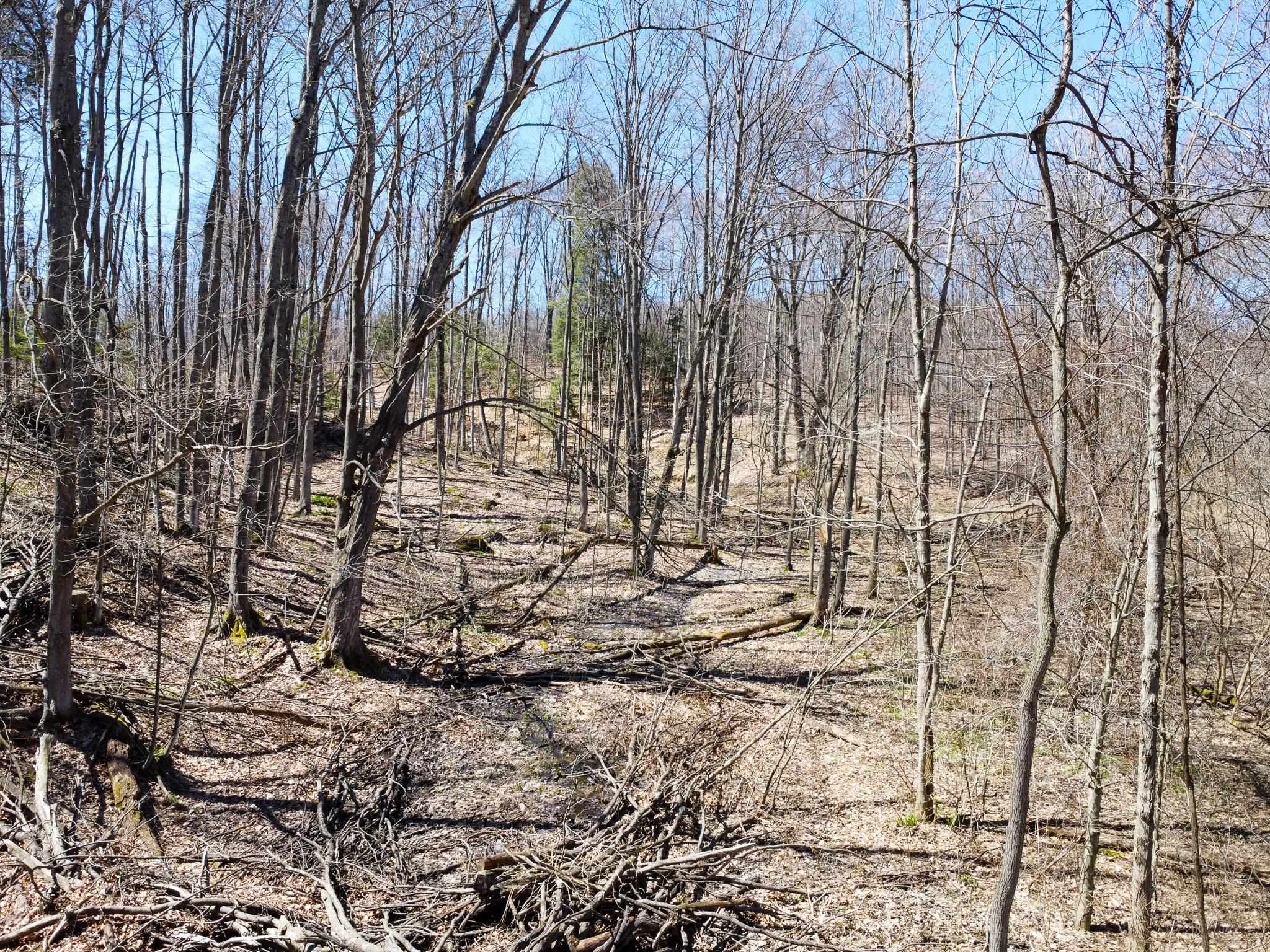 0 East Smiseth Road Suttons Bay, MI 49682 - Photo 38 of 67